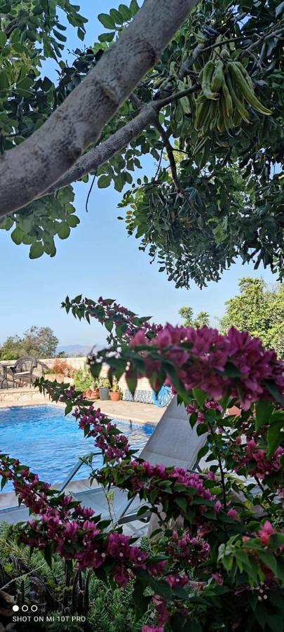 Aliki'S House 1+ 2 Guest House Polis Bagian luar foto